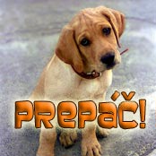 (R)Prepac!!!.jpg