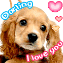 Darling.gif