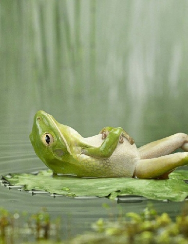 fbjue8td6g-relax%20%C5%BEaby.jpg