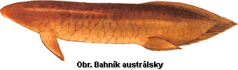 bahnik.gif