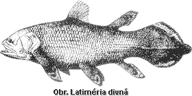 latimeria.gif