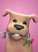 Puppy Casanova.jpg